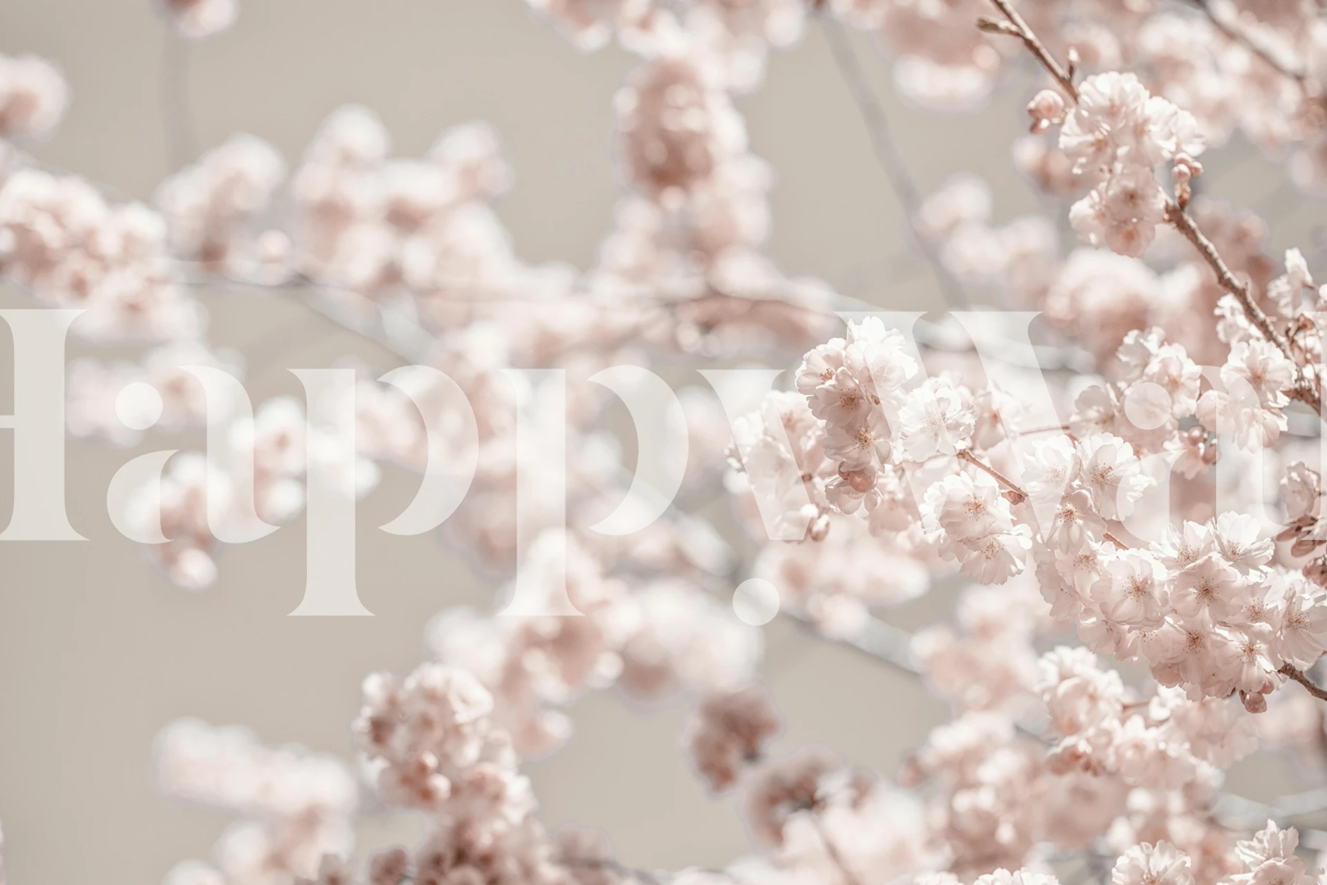 Cherry Tree Blossom tapet visad i ett rum