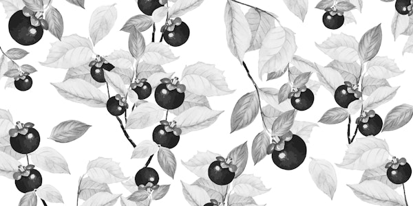 Fruit Black and White