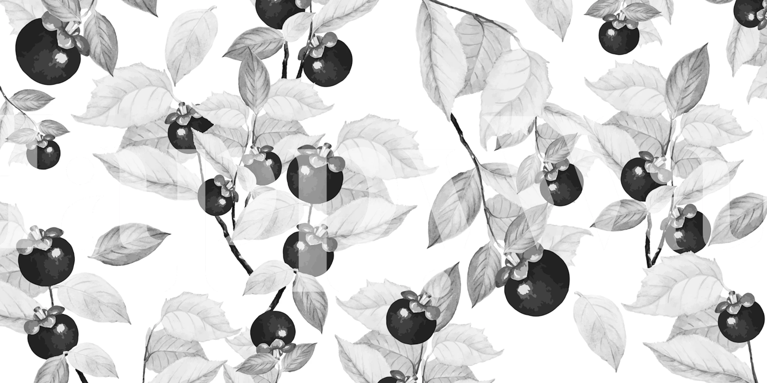 Fruit Black and White tapetti esiteltynä huoneessa