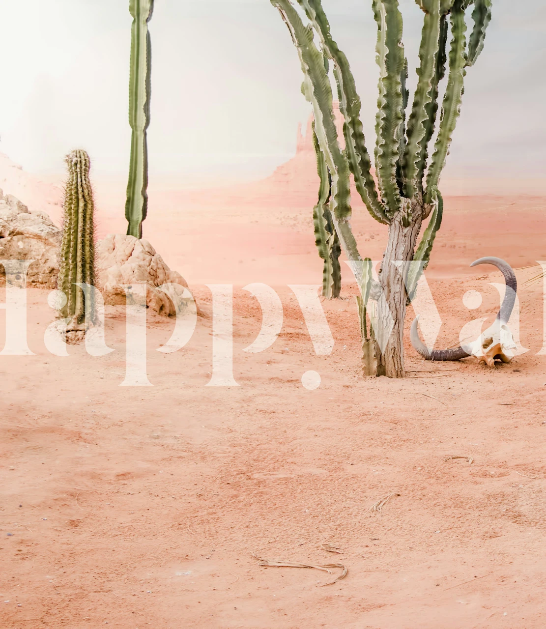 Desert cacti skull wilderness scene wallpaper
