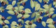 Fruit Blue