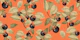 Fruit Orange