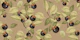 Fruit Fendi