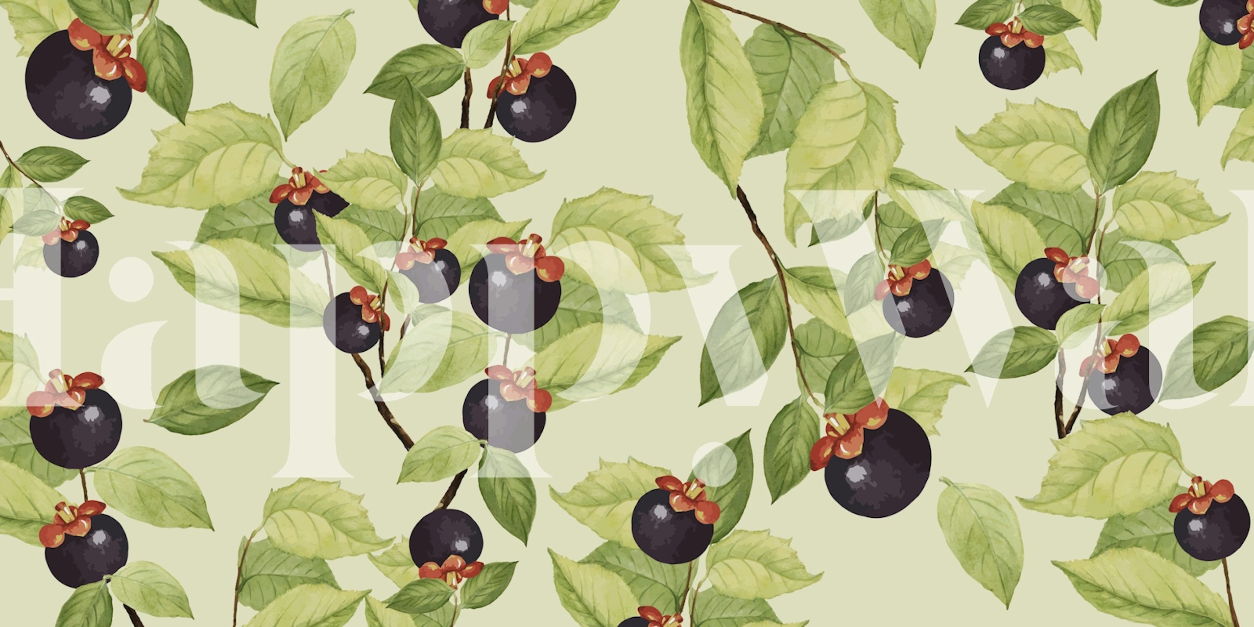 Fruit Green wallpaper design in a room