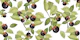 Fruit White