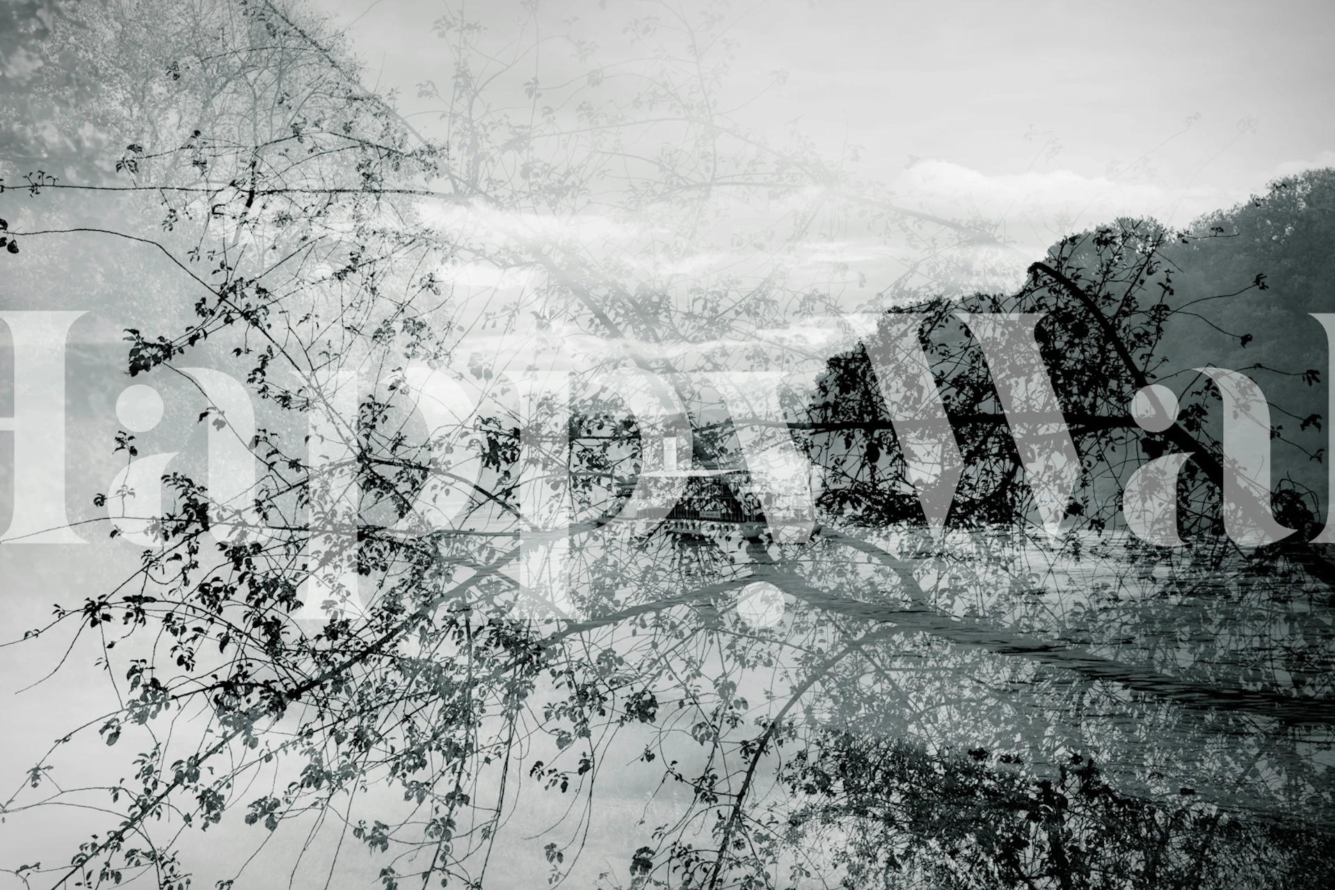 Wallpaper design featuring a river and trees