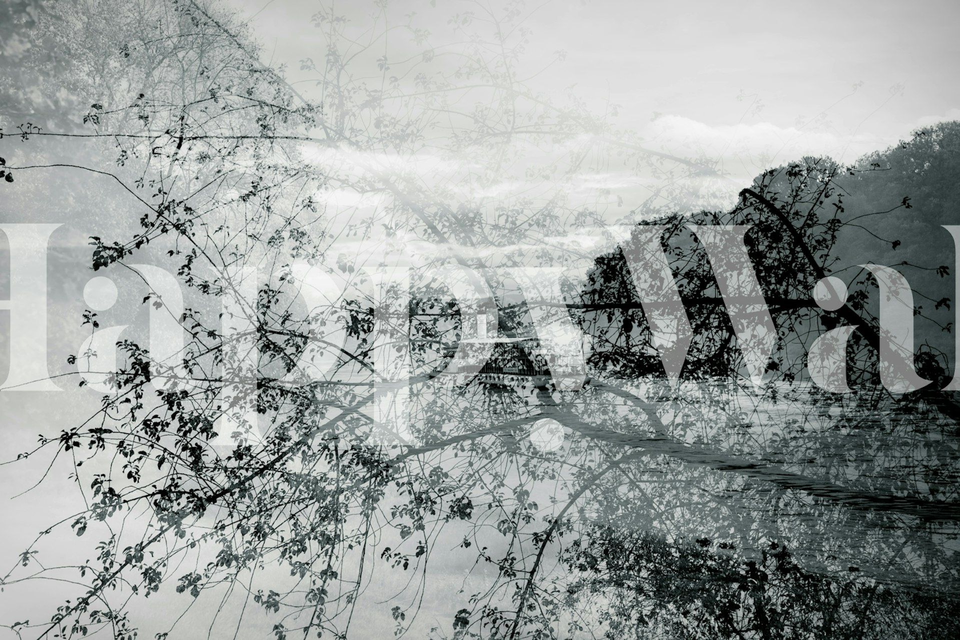 Wallpaper design featuring a river and trees