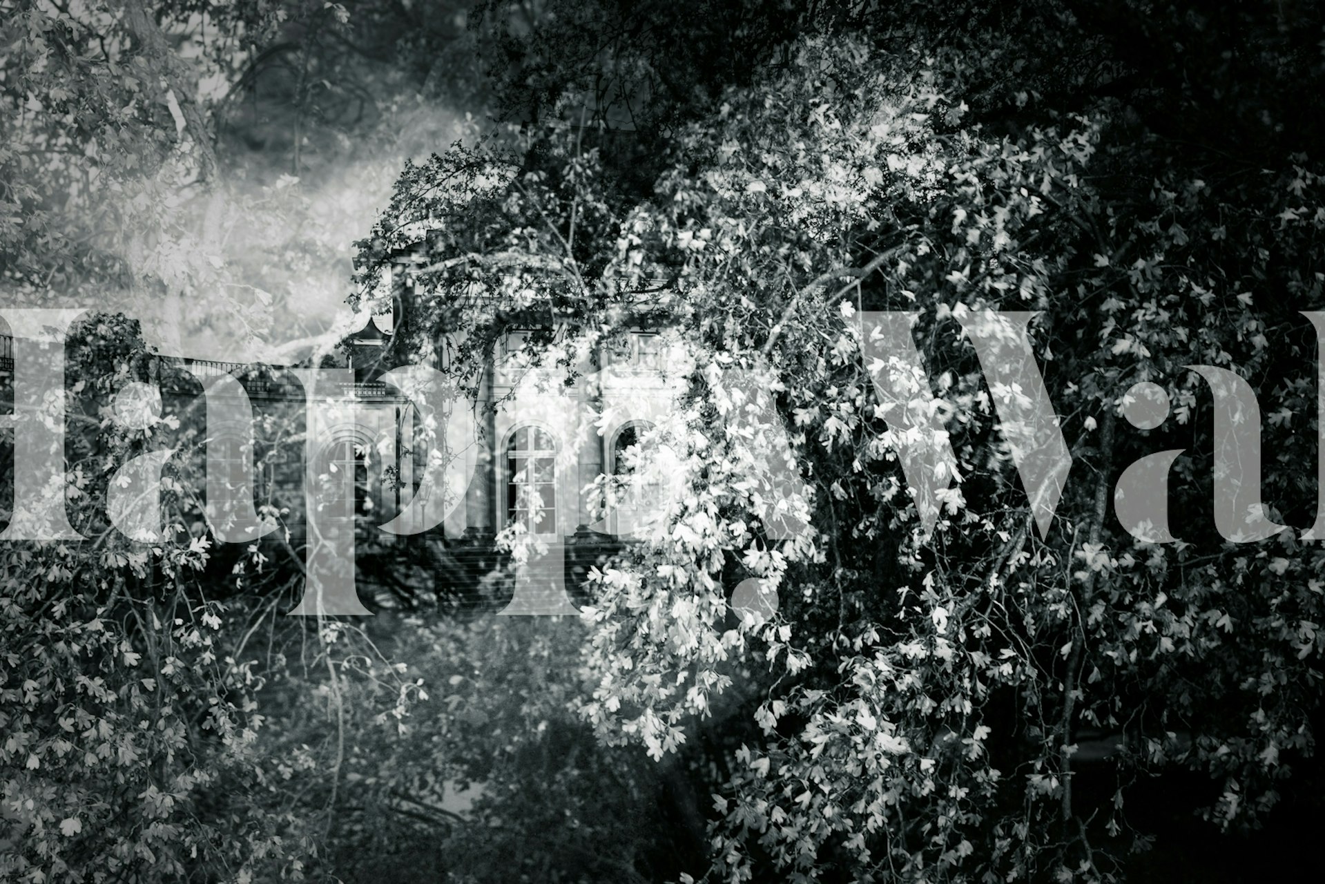 Ταπετσαρία Garden Castle σε ένα δωμάτιο