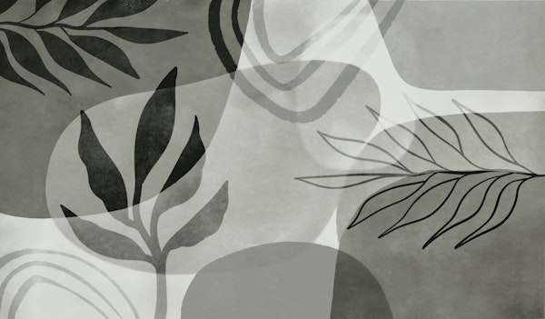 Abstract Botanical Mid Century Art