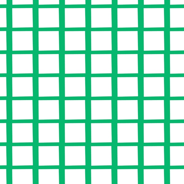 Fun Checker Green
