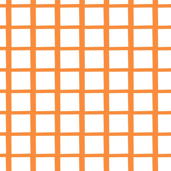 Fun Checker Orange