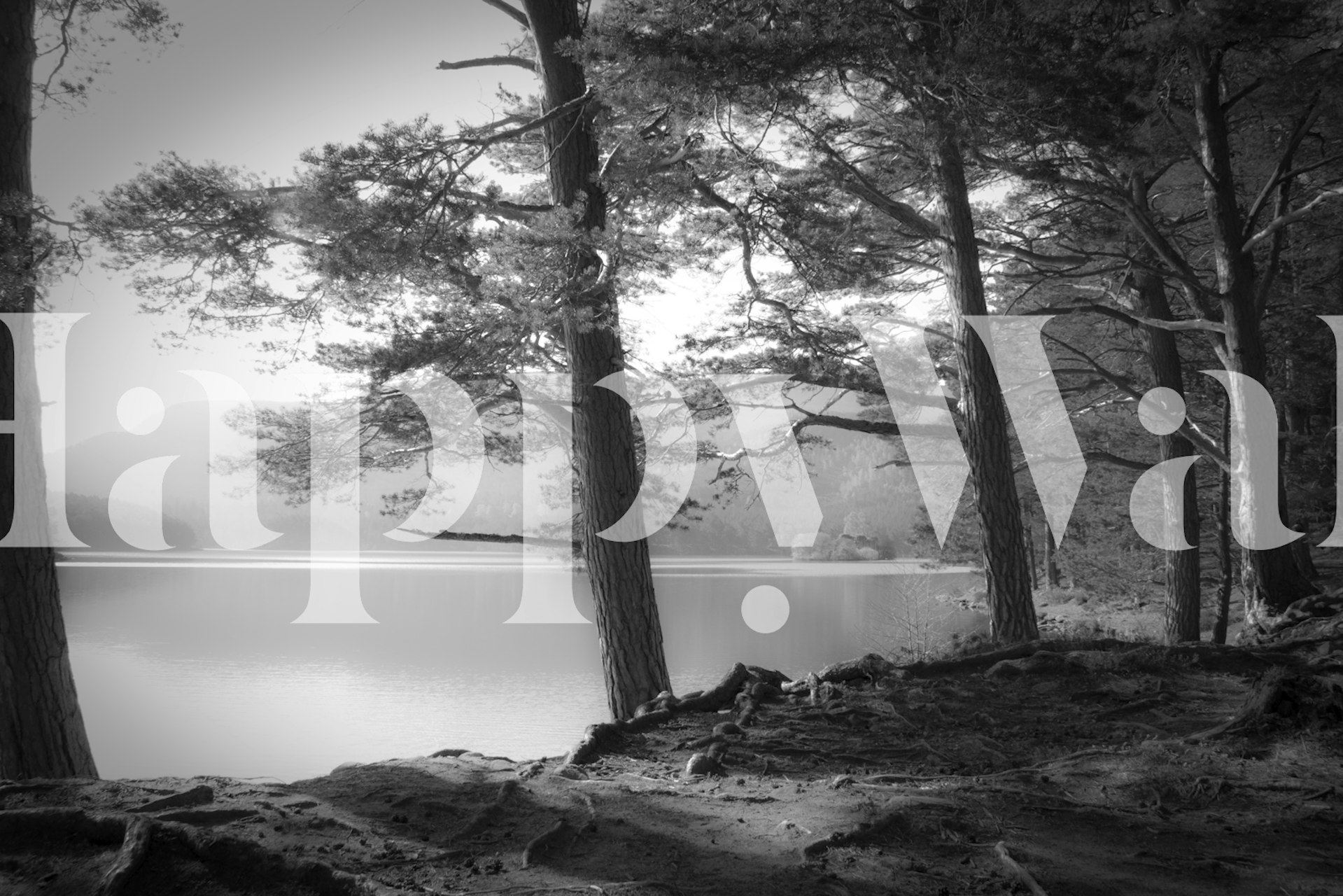 Tapeta Serene Lake View v pokoji