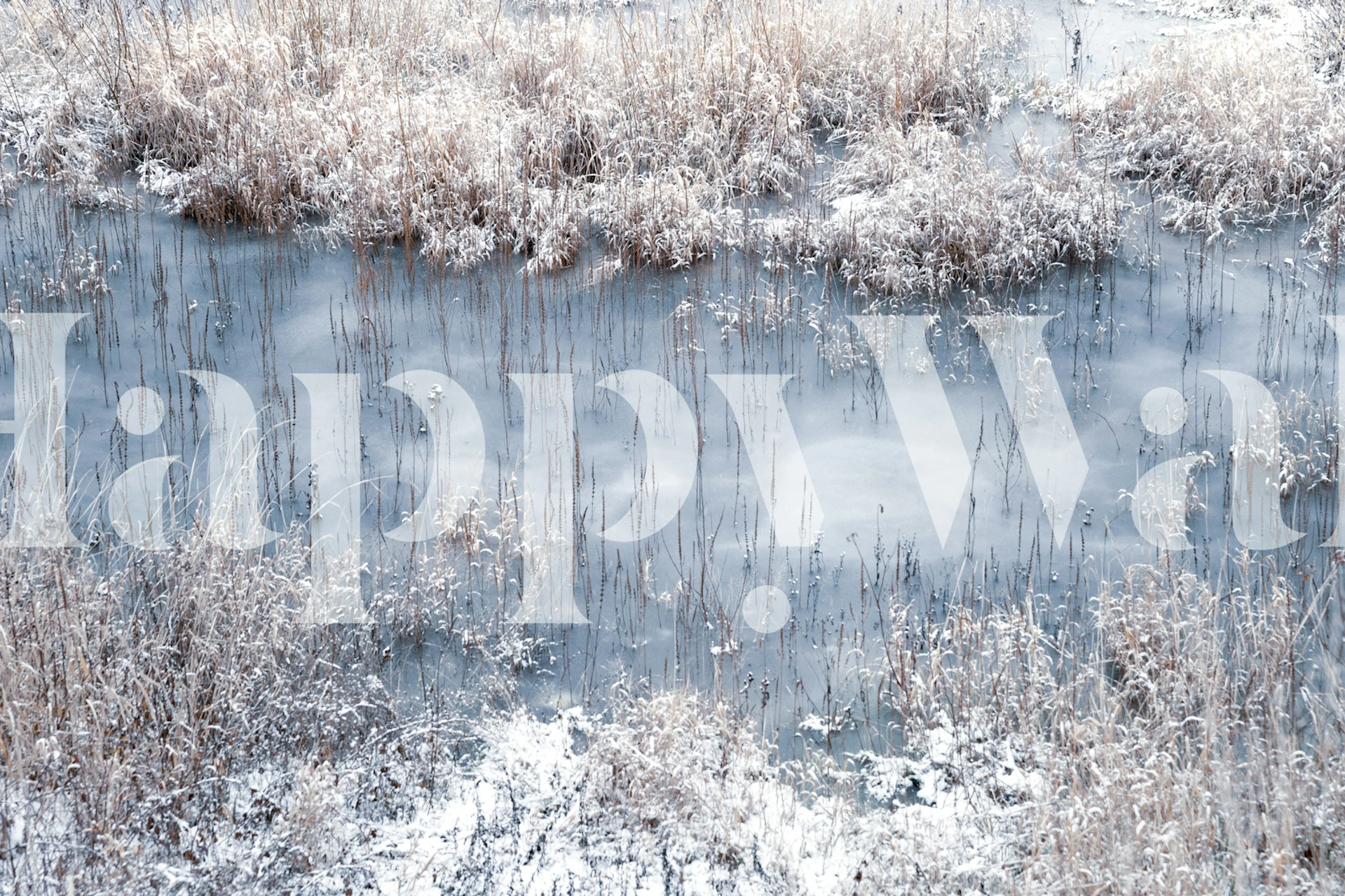 Frosted Meadow by the River-ontwerp in een kamer