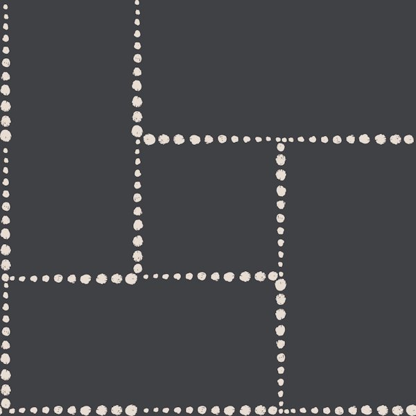 Minimalist Dotted Grid on dark backdrop