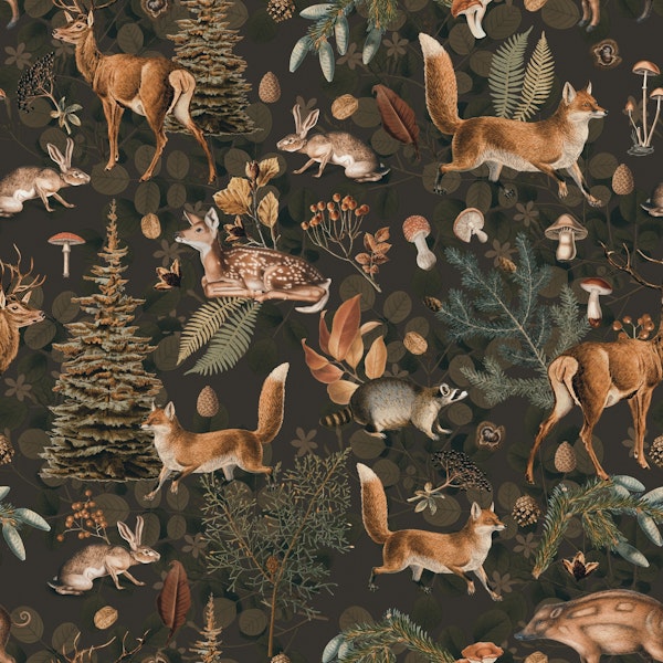 Fall Forest Impression Wild Animals