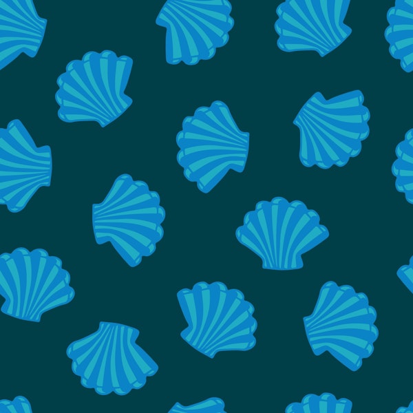 Seashells Coast Scallop Shells Marine Blue