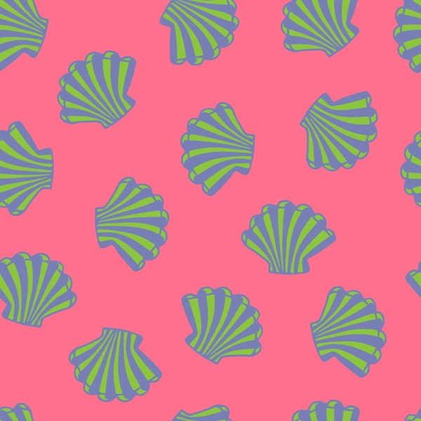 Seashells Coast Scallop Shells Marine Pink
