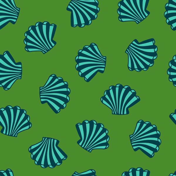 Seashells Coast Scallop Shells Marine Green