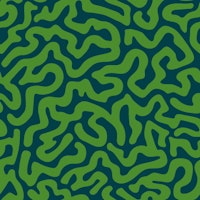 Brainy Abstract Coral Reef Coastal Dark Green tapete