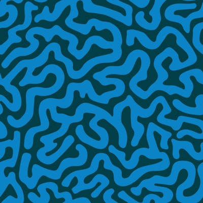 Modello