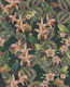 Tropical birds & jungle flowers - dark green