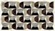 Earthy Tones Geometrix