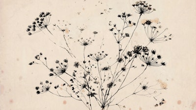 Mural