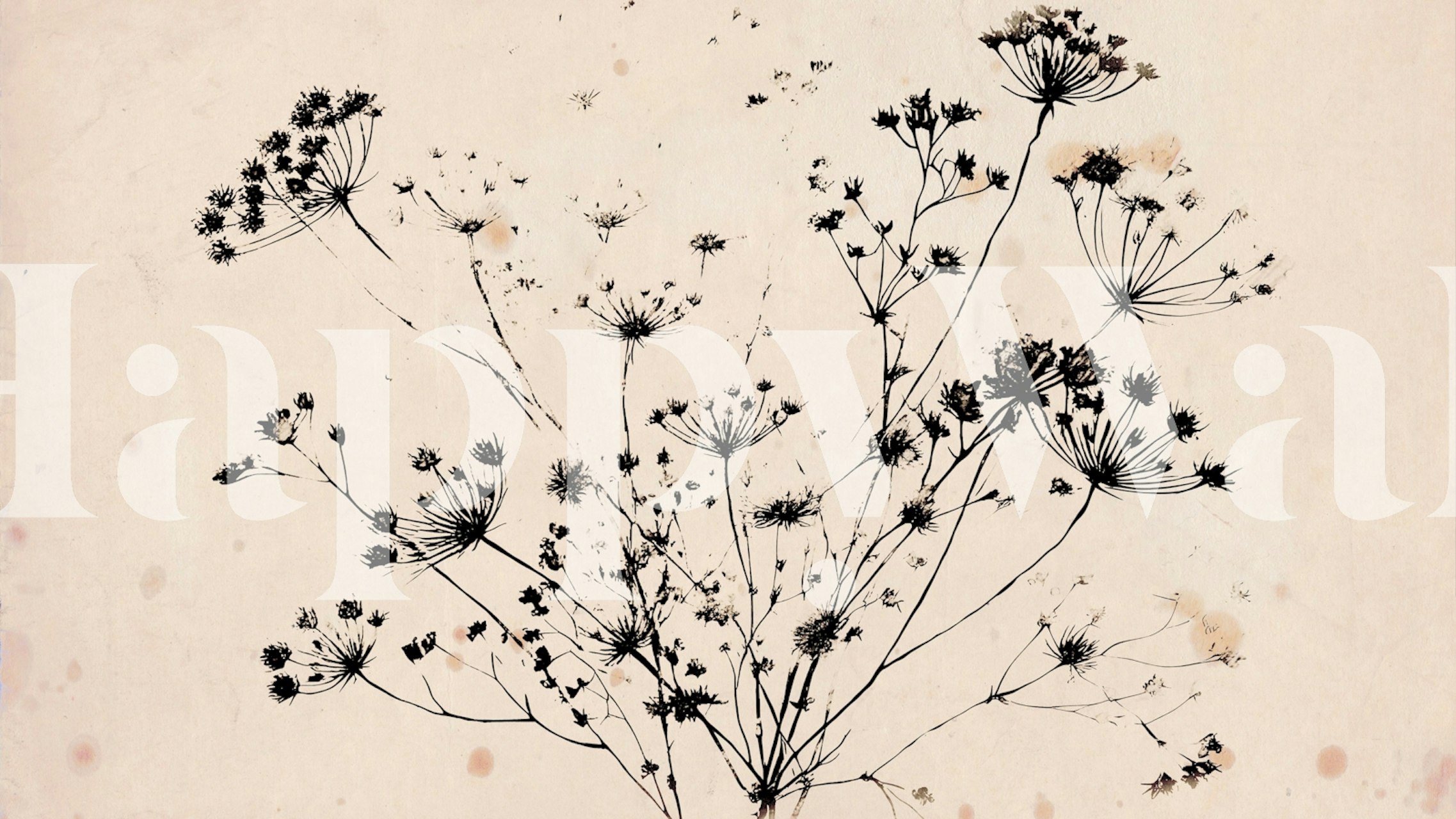 Væg designet med Japandi Botanicals tapet