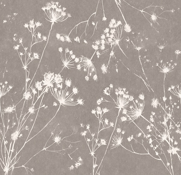 Japandi Botanicals