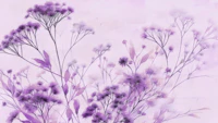 Purple Mimosa Flowers tapet
