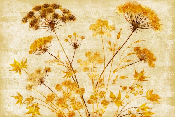 Antique Garden Grace