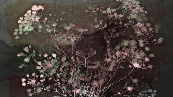 Whispering Wildflowers