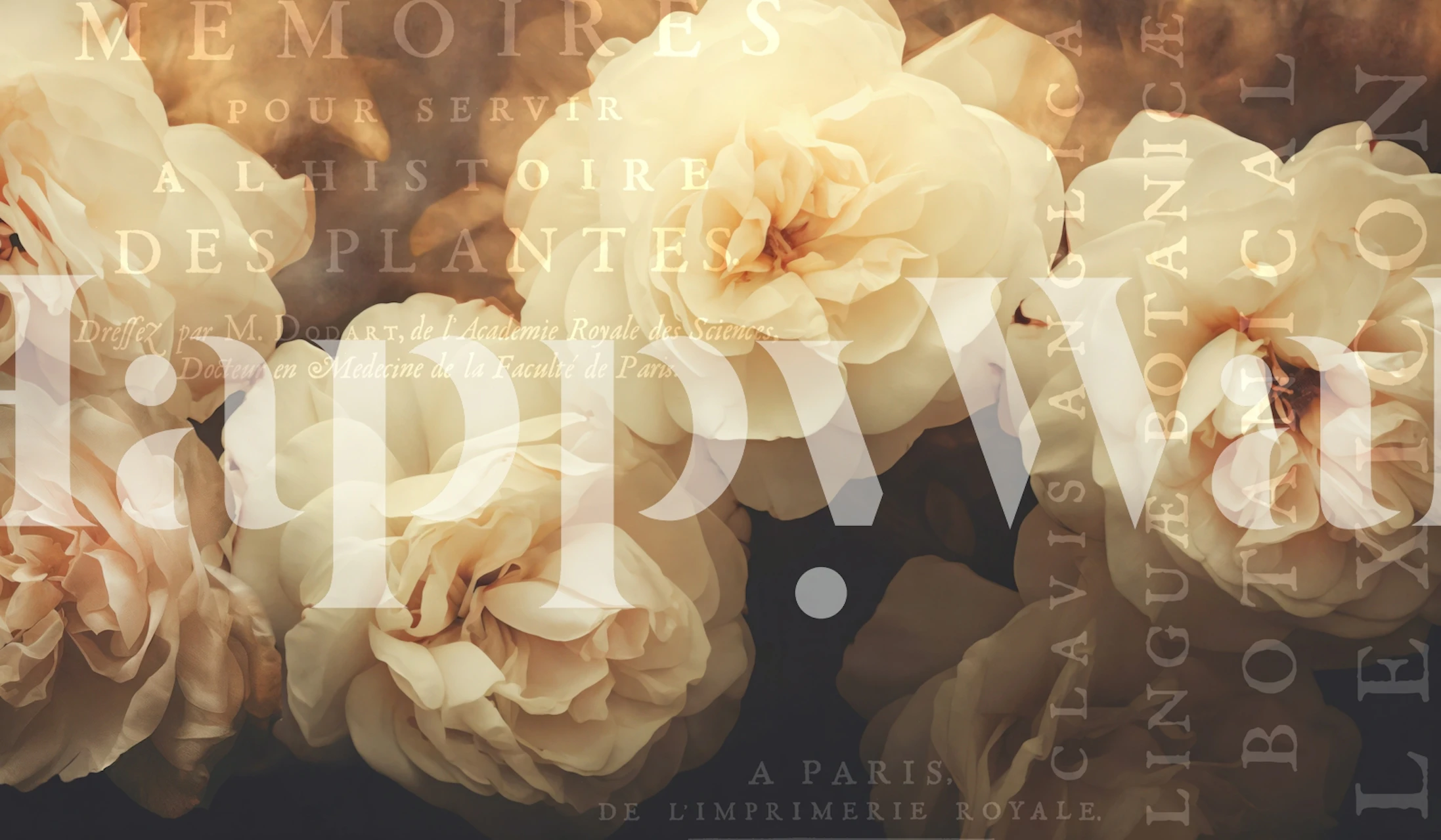 Large vintage rose flowers with handwritten text on dark background wall mural