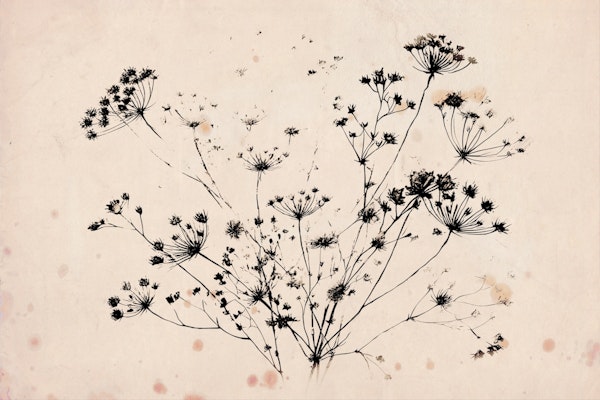 Elegant Botanical Silhouettes