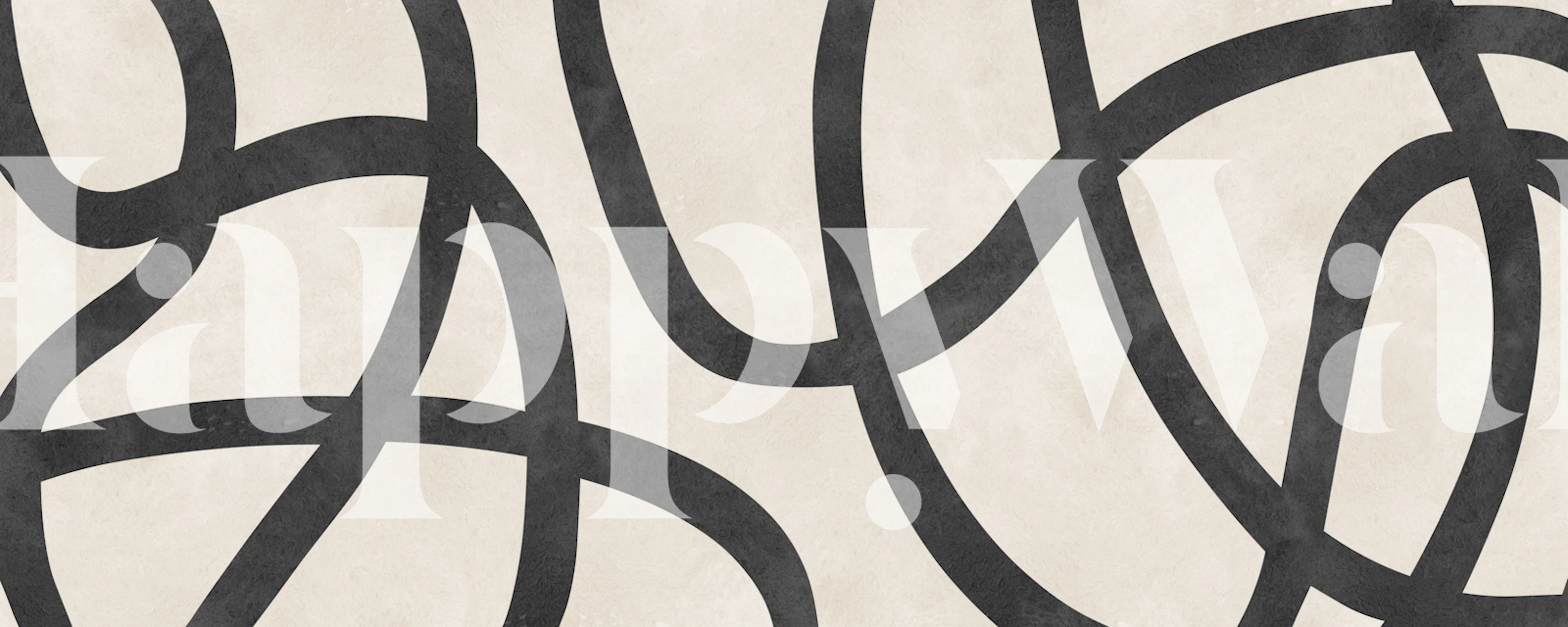 Black and white abstract curves wallpaper design