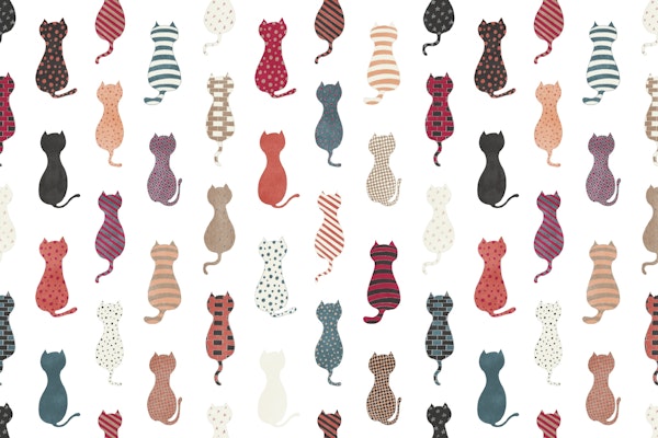 Colorful Cat silhouettes