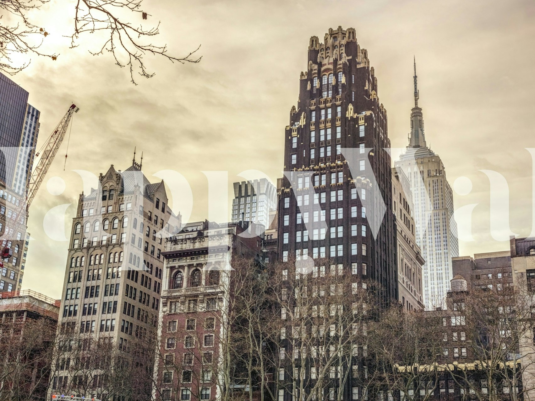 City Heights tapet i et rom