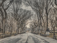 Tranquil Walk tapete