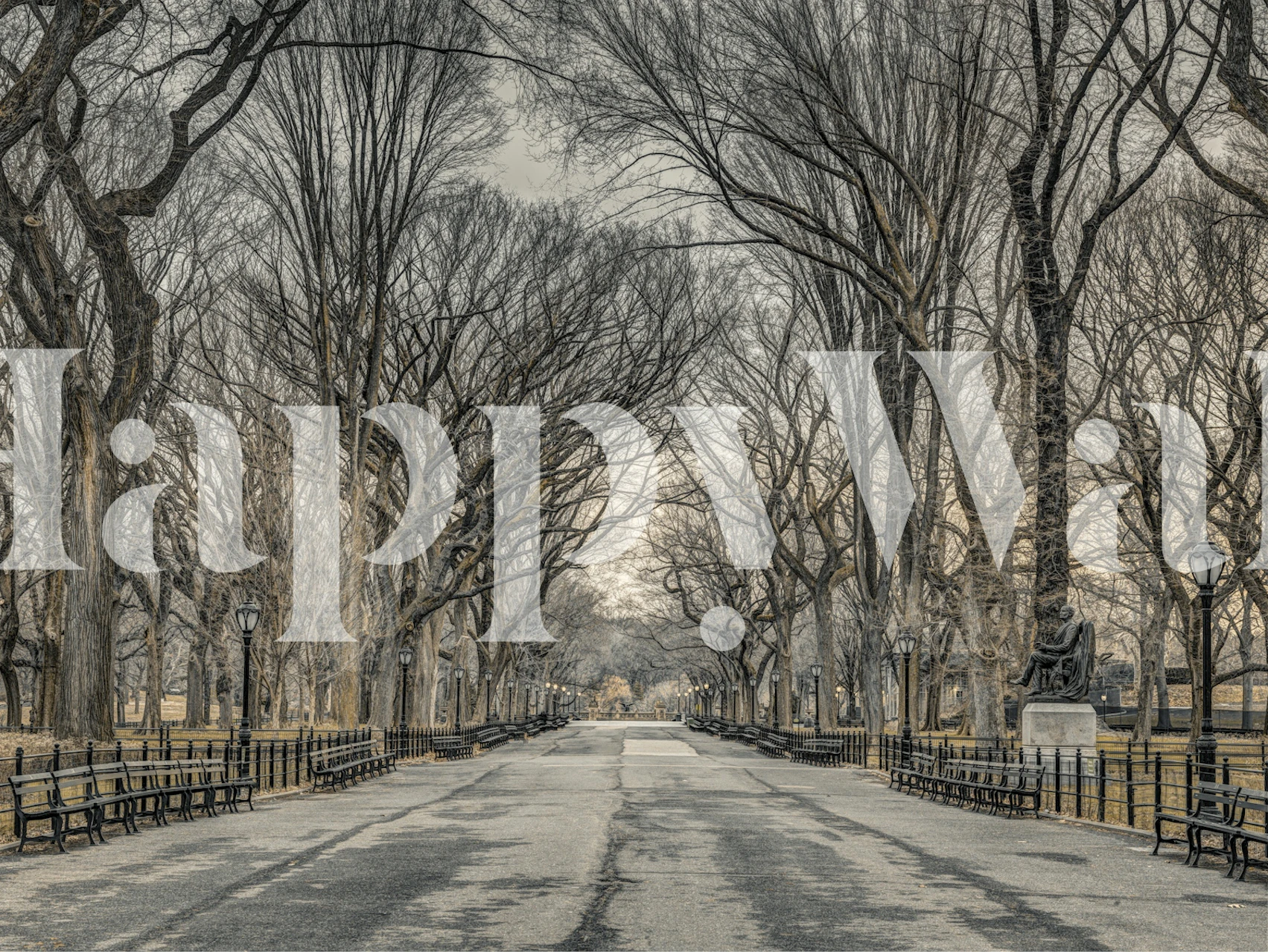 Design de papier peint Tranquil Walk dans une pièce