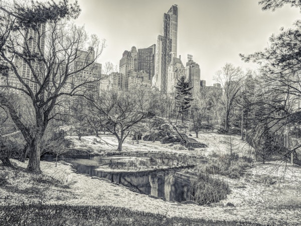Where Nature Meets Skyscrapers