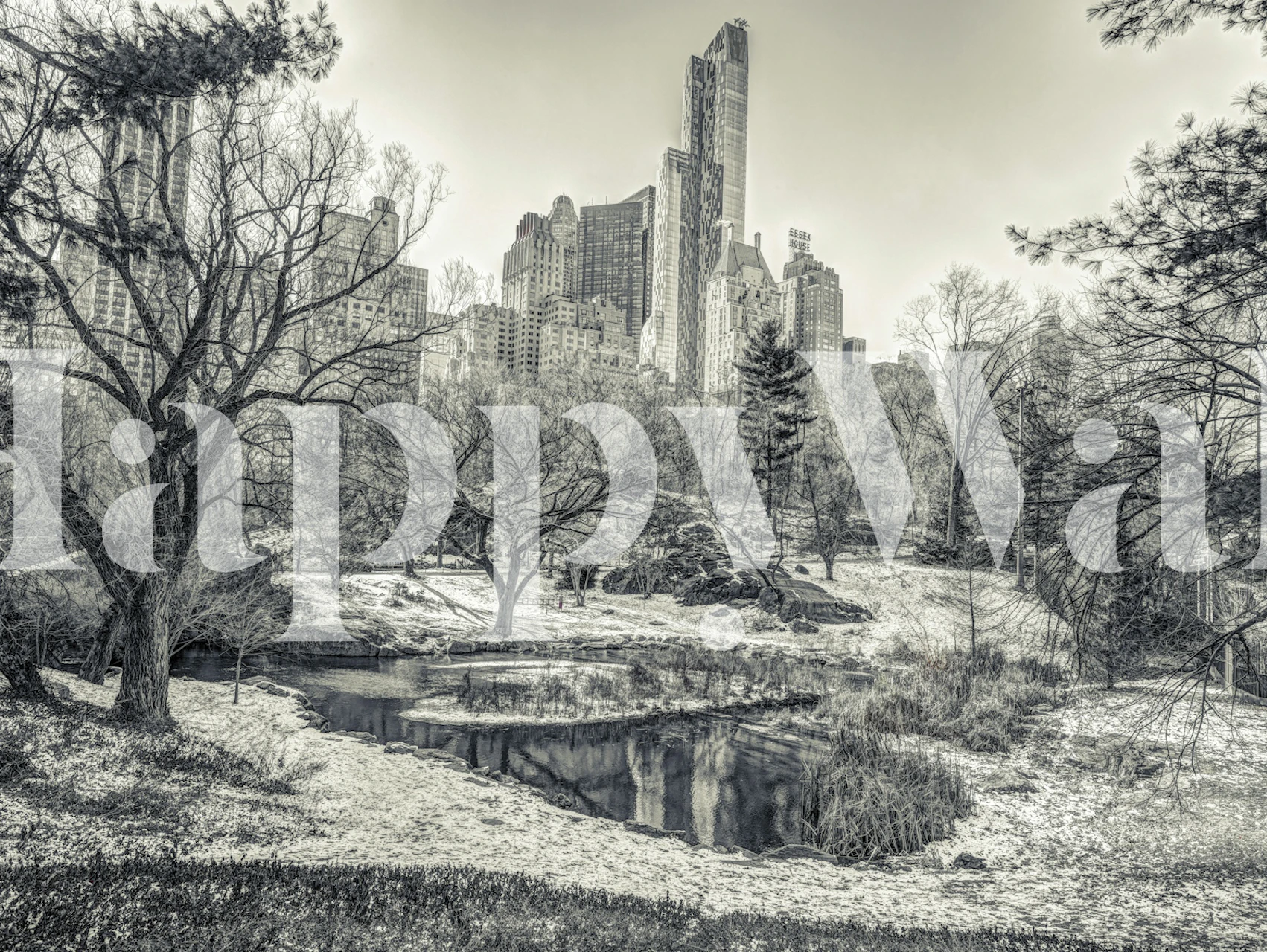 Wallpaper of nature with skyscrapers in background