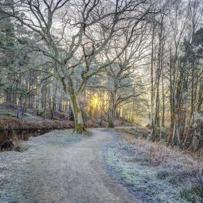 Τοιχογραφία