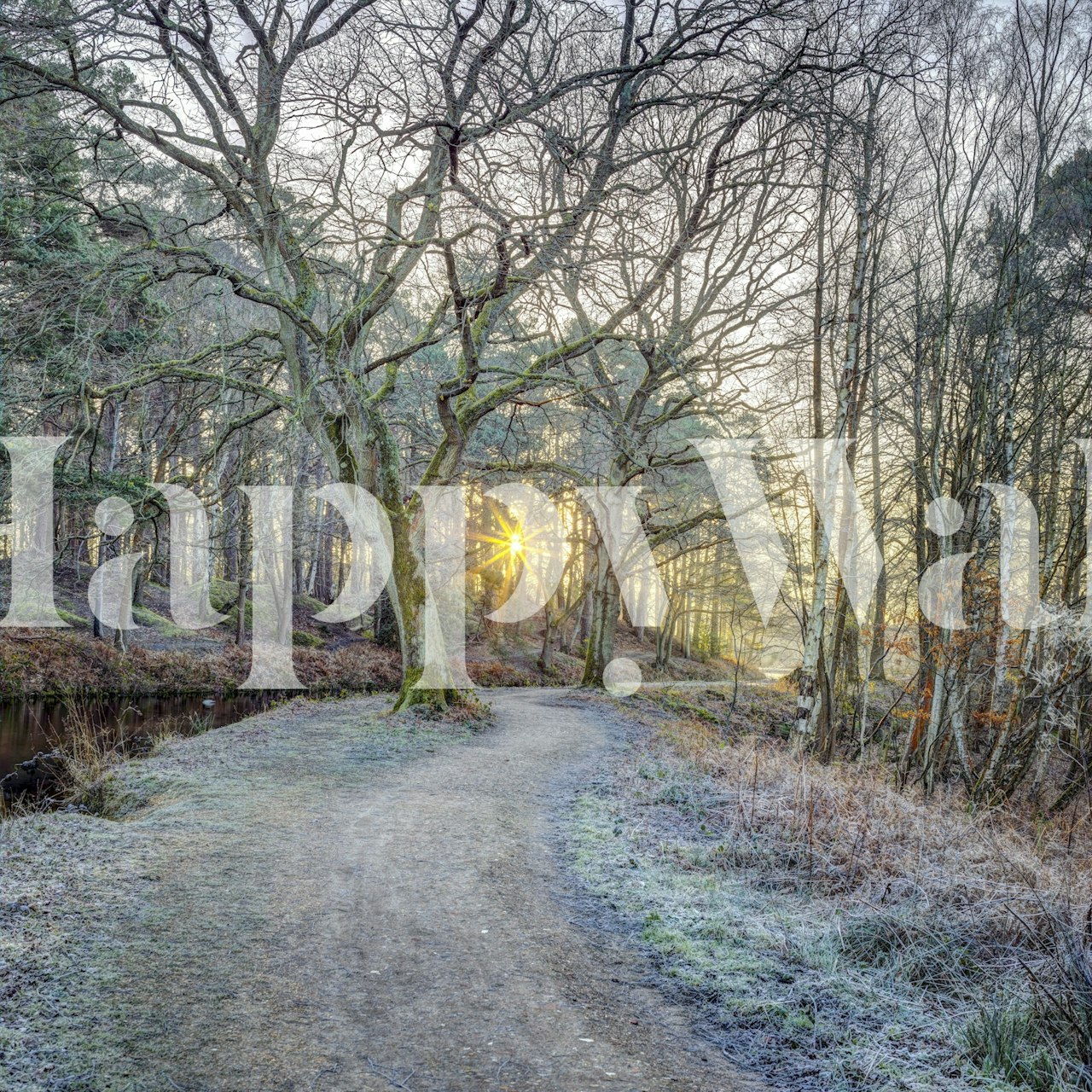 Ταπετσαρία Misty Woodland Glare σε ένα δωμάτιο