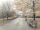 Autumn Stroll Scene