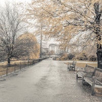 Autumn Stroll Scene papel de parede