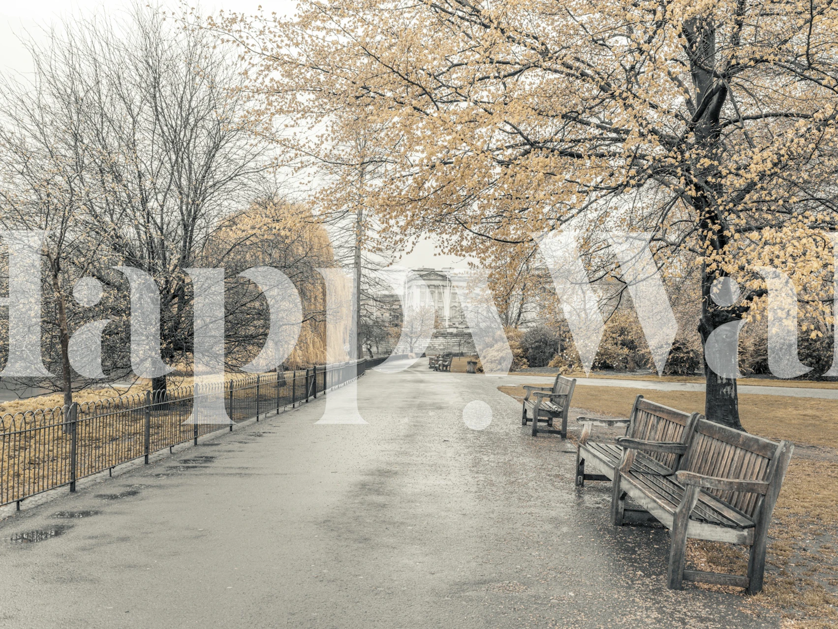 Scenic autumn park pathway with benches and trees, warm earthy tones wallpaper