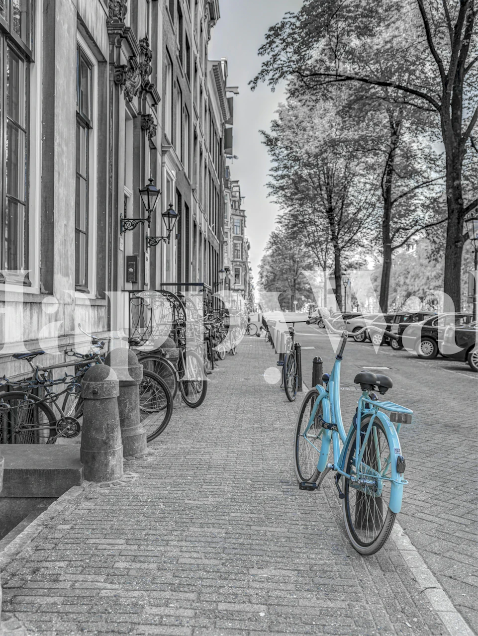 Bicycle against a sidewalk with trees, black and white, street wallpaper