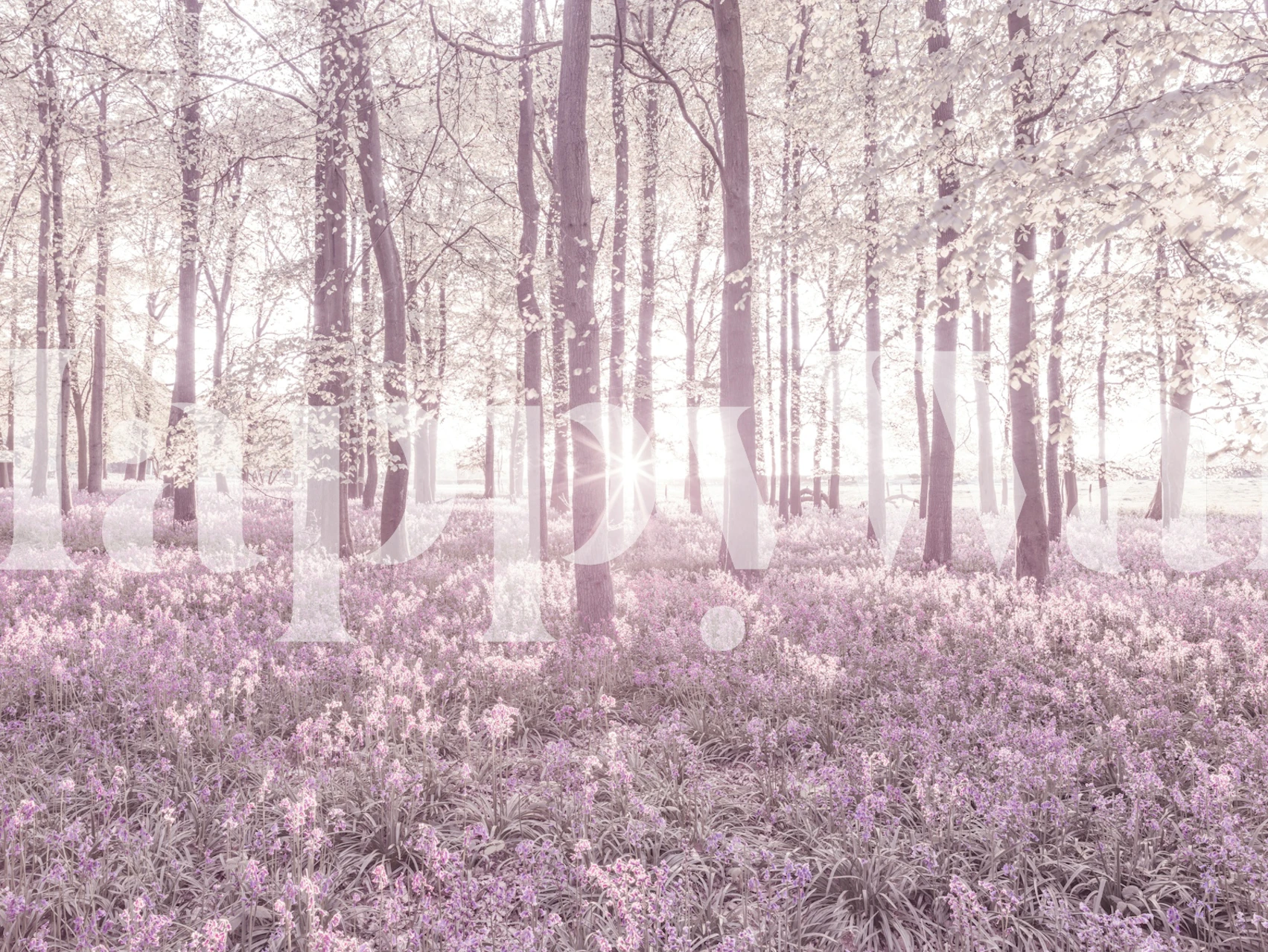 Blossom Wonderland behang in een kamer