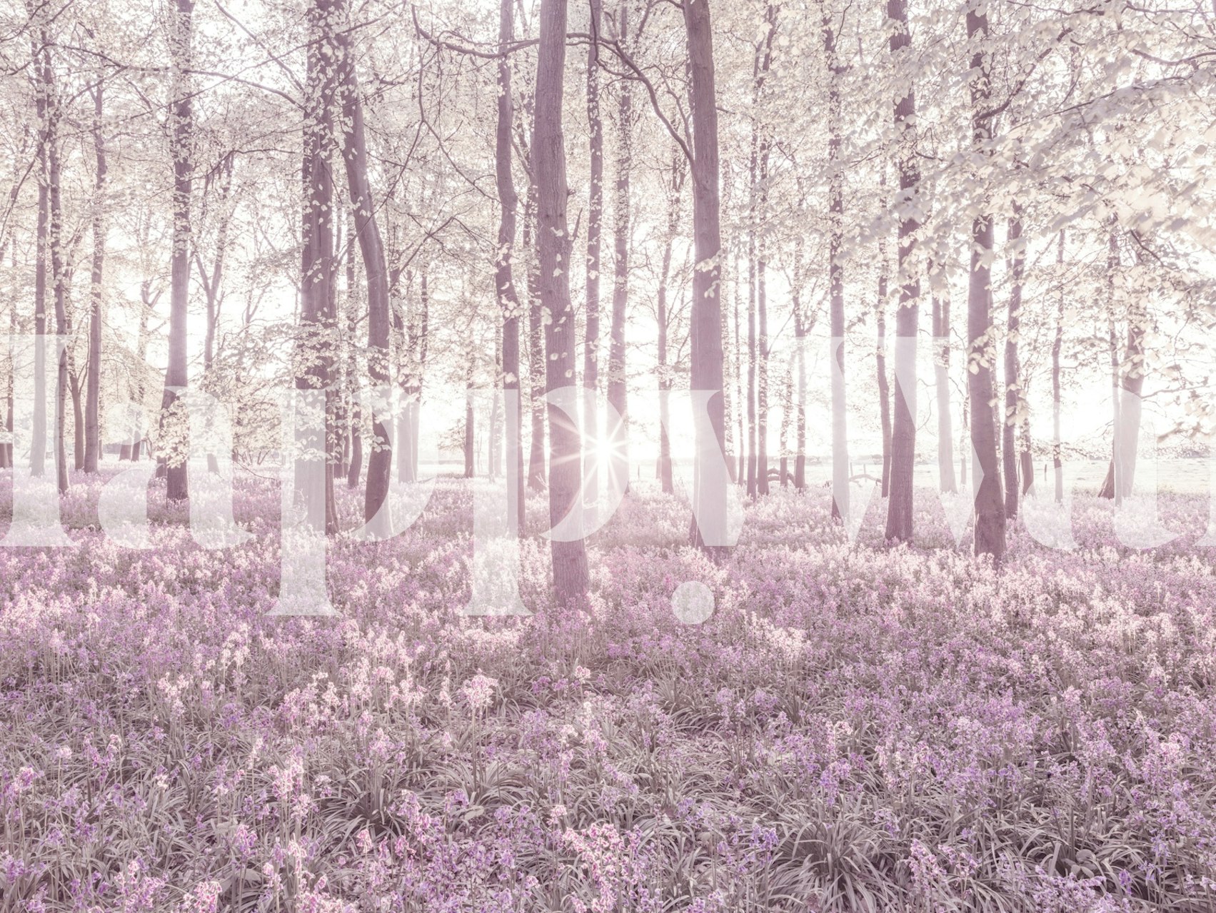 Blossom Wonderland wallpaper in a room