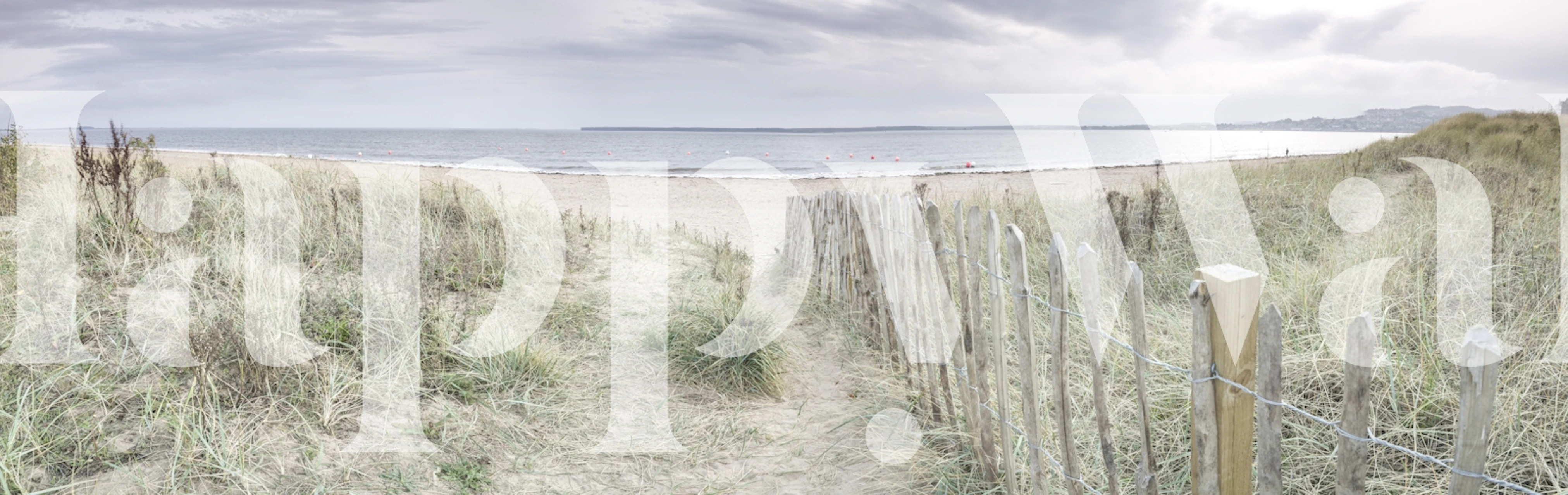 Beach scene with grass and wooden fence, gray tones wallpaper